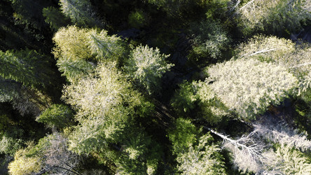 Similar image 22402318