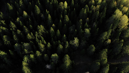 Similar image 22401222