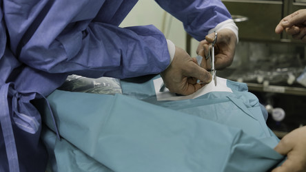 Similar image 22401322