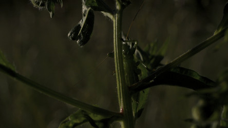 Similar image 22401352