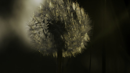 Similar image 22401366