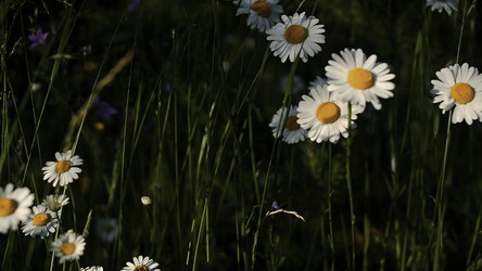 Similar image 22401412