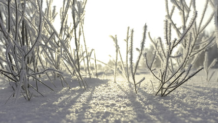 Similar image 22401459