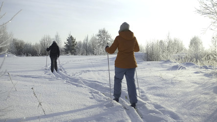 Similar image 22401661