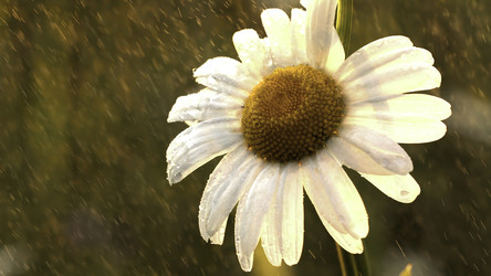 Similar image 22401677