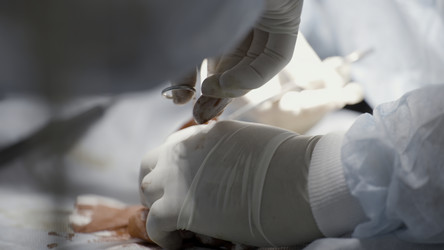 Similar image 22401707