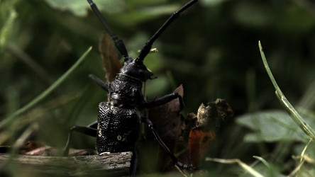 Similar image 22401708