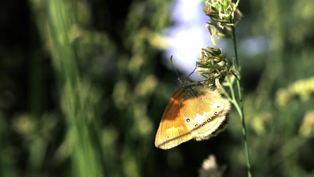 Similar image 22401752