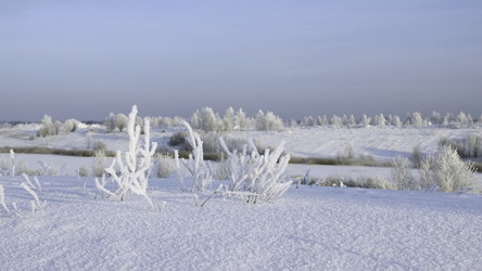 Similar image 22401766