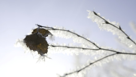 Similar image 22401794