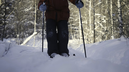 Similar image 22401795