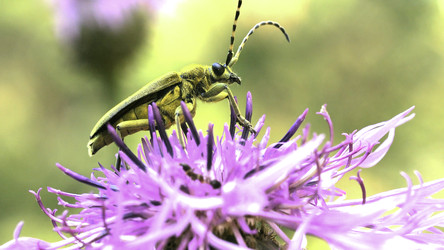 Similar image 22401796