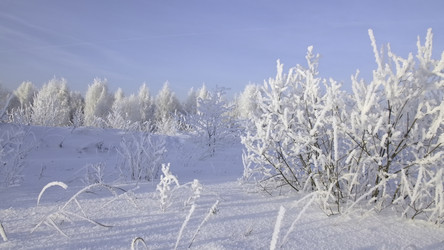 Similar image 22401809