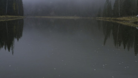 Similar image 22401810