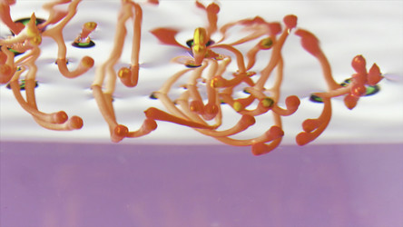 Similar image 22401826