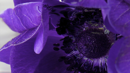 Similar image 22401841