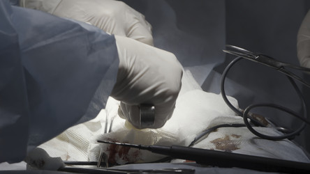 Similar image 22401900