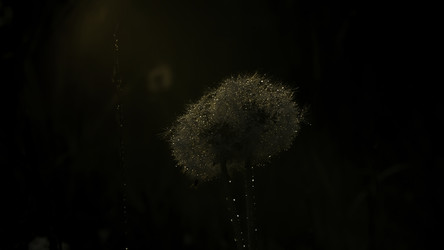 Similar image 22401931