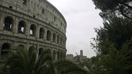 Similar image 22402005