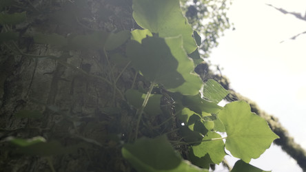 Similar image 22402111