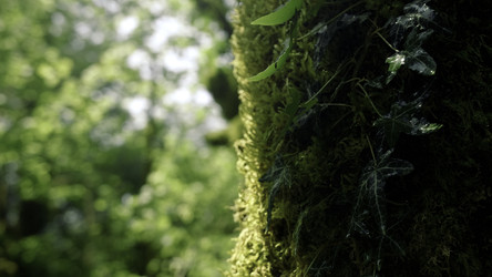 Similar image 22402155