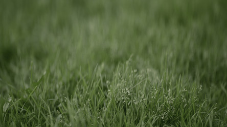 Similar image 22402202