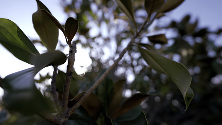 Similar image 22402216