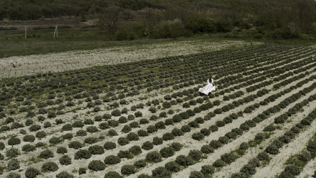 Similar image 22402244