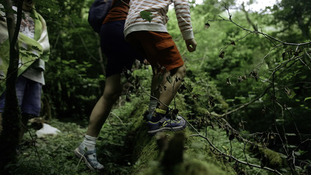 Similar image 22402246