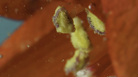 Similar image 22401135