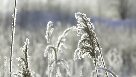 Similar image 22401445