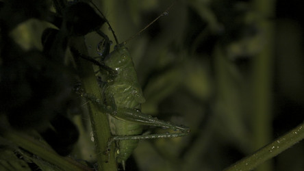 Similar image 22401488