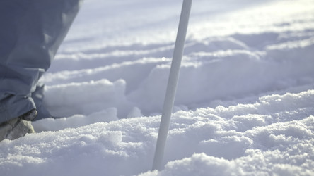 Similar image 22401504