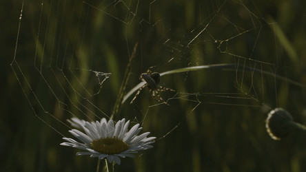 Similar image 22401535