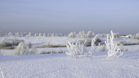 Similar image 22401589