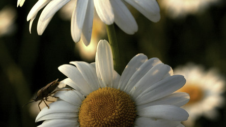 Similar image 22401637