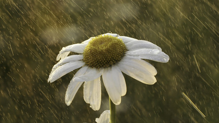 Similar image 22401651