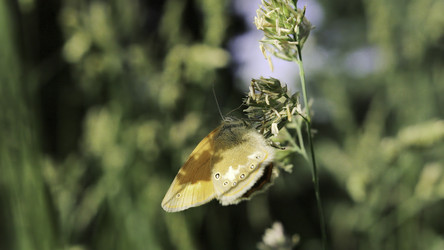 Similar image 22401695