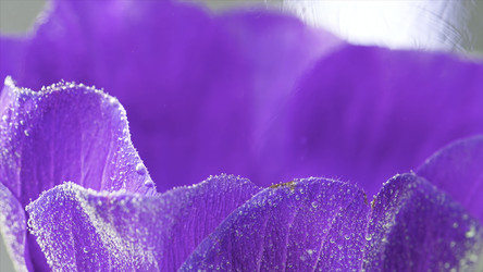 Similar image 22401844