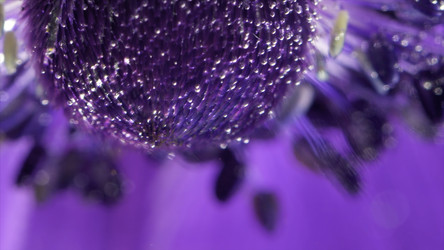 Similar image 22401876