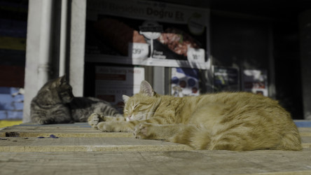 Similar image 22402113