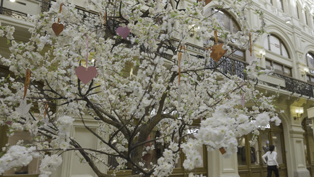 Similar image 22402173