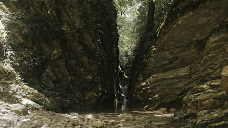 Similar image 22401030