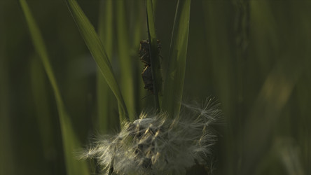 Similar image 22401253