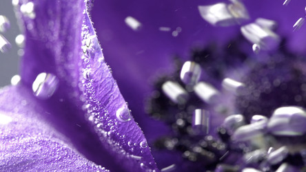 Similar image 22401281