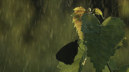 Similar image 22401326