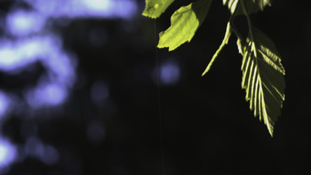 Similar image 22401355