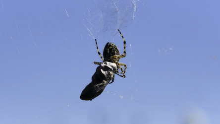 Similar image 22401356