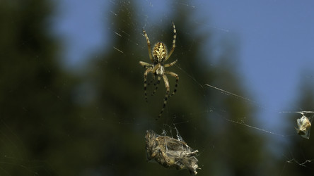 Similar image 22401371