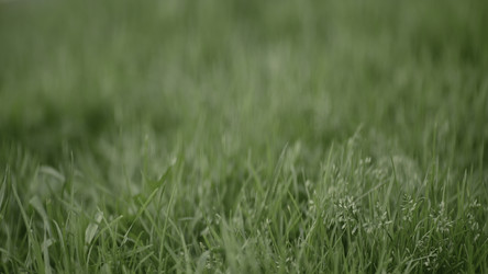 Similar image 22401492